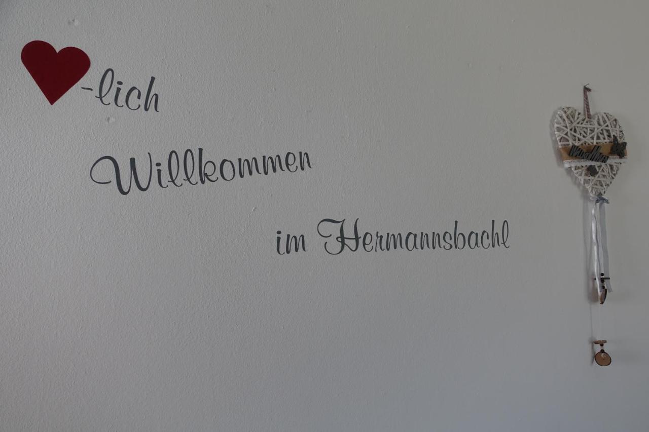 Am Hermannsbachl Bischofsmais Kültér fotó