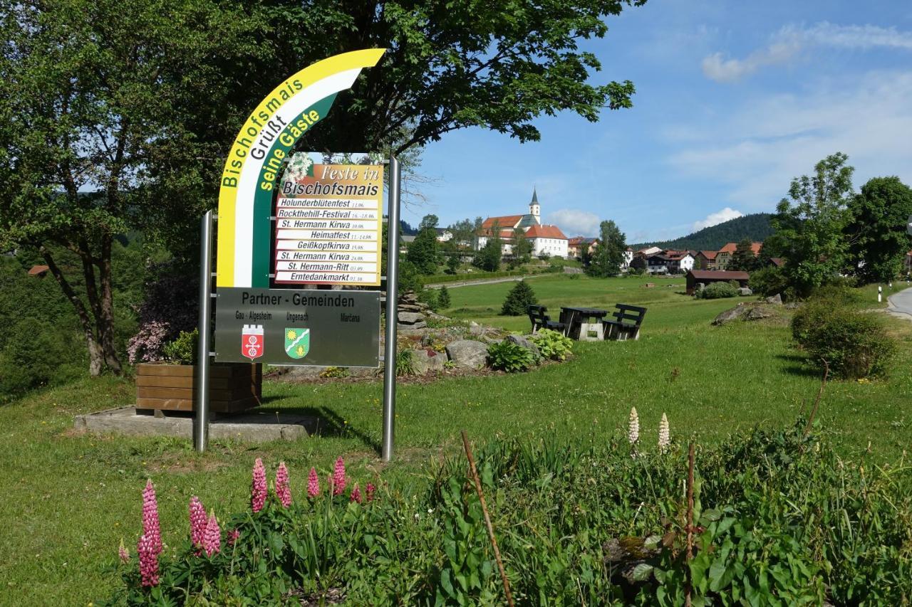 Am Hermannsbachl Bischofsmais Kültér fotó