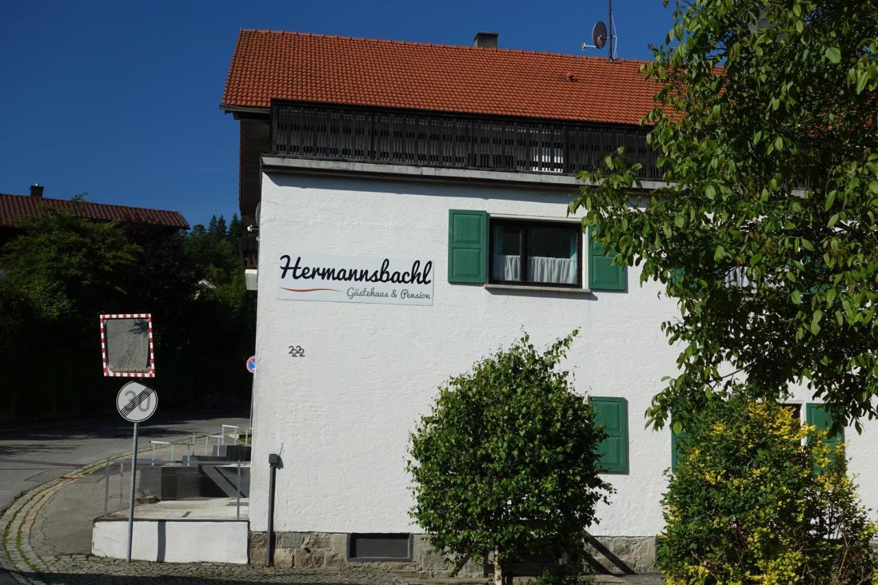 Am Hermannsbachl Bischofsmais Kültér fotó