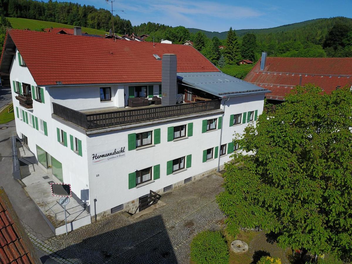 Am Hermannsbachl Bischofsmais Kültér fotó